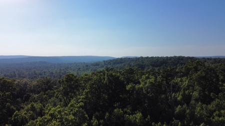 Peaceful 21.2 +- acres for sale on the Cumberland Plateau - image 16