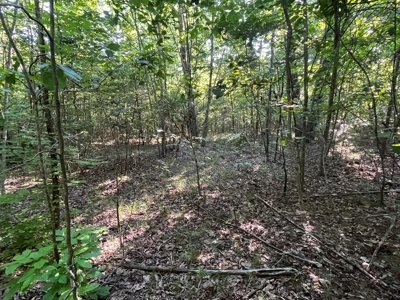 Peaceful 21.2 +- acres for sale on the Cumberland Plateau - image 4