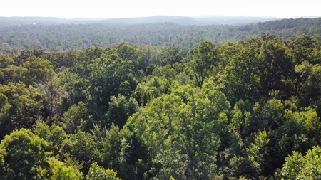 Peaceful 21.2 +- acres for sale on the Cumberland Plateau - image 15