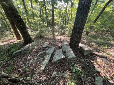 Peaceful 21.2 +- acres for sale on the Cumberland Plateau - image 13