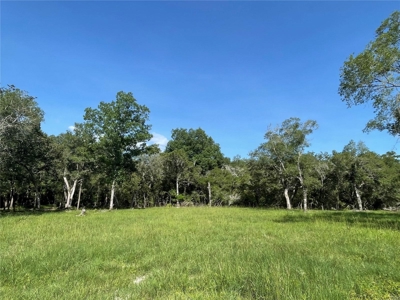 Land for sale in Fanning Springs, Gilchrist County, FL - image 1