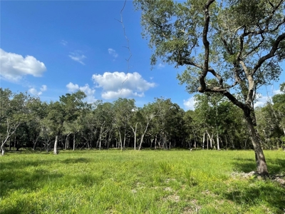 Land for sale in Fanning Springs, Gilchrist County, FL - image 2