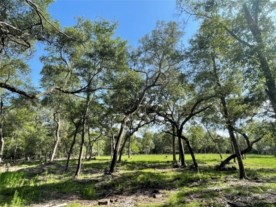 Land for sale in Fanning Springs, Gilchrist County, FL - image 3
