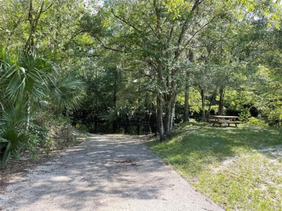 Land for sale in Fanning Springs, Gilchrist County, FL - image 7
