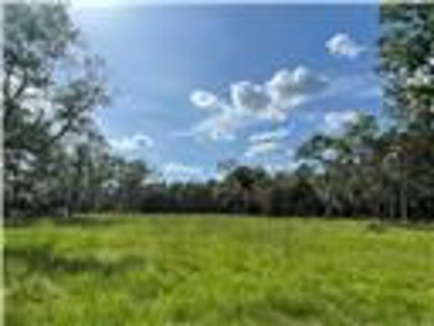 Land for sale in Fanning Springs, Gilchrist County, FL - image 5