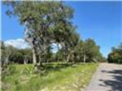 Land for sale in Fanning Springs, Gilchrist County, FL - image 4