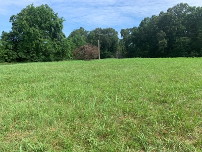Flat as a Floor 3+ Acres - image 3