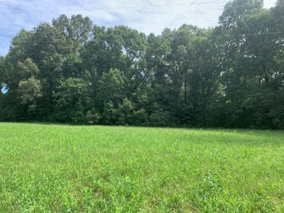 Flat as a Floor 3+ Acres - image 4