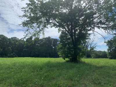 Flat as a Floor 3+ Acres - image 2