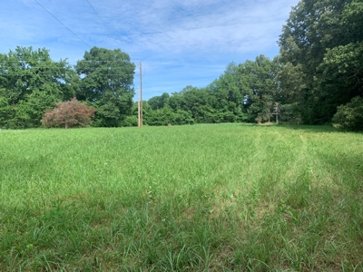 Flat as a Floor 3+ Acres - image 5