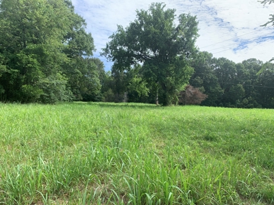 Flat as a Floor 3+ Acres - image 1