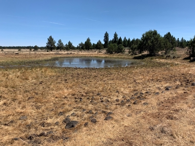 440+/-Acres 47N71 & 47N10 USFS Roads - image 34
