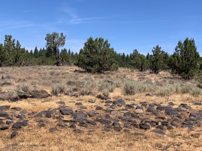 440+/-Acres 47N71 & 47N10 USFS Roads - image 26