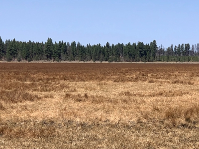 440+/-Acres 47N71 & 47N10 USFS Roads - image 24