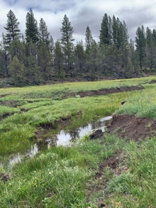 440+/-Acres 47N71 & 47N10 USFS Roads - image 5
