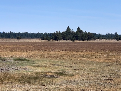 440+/-Acres 47N71 & 47N10 USFS Roads - image 33