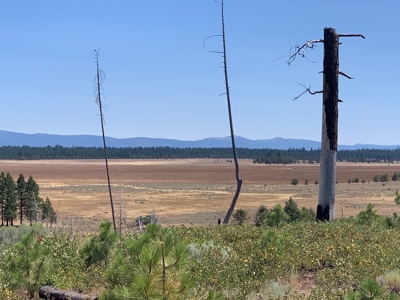 440+/-Acres 47N71 & 47N10 USFS Roads - image 39