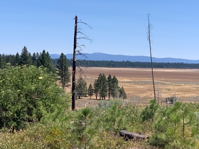 440+/-Acres 47N71 & 47N10 USFS Roads - image 41