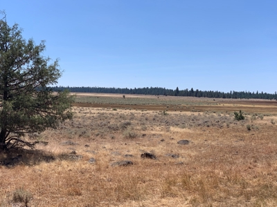 440+/-Acres 47N71 & 47N10 USFS Roads - image 19