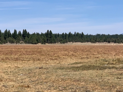 440+/-Acres 47N71 & 47N10 USFS Roads - image 32
