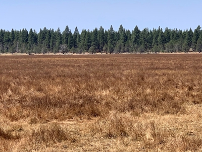 440+/-Acres 47N71 & 47N10 USFS Roads - image 25