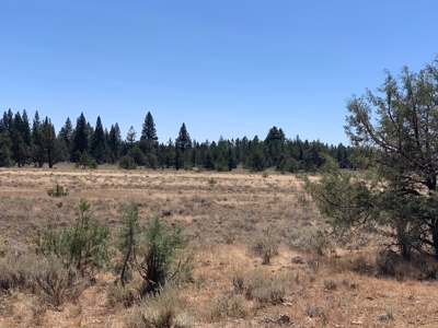 440+/-Acres 47N71 & 47N10 USFS Roads - image 20