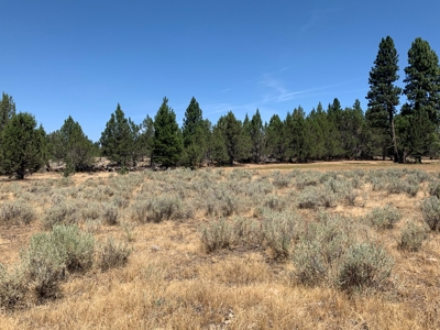 440+/-Acres 47N71 & 47N10 USFS Roads - image 22