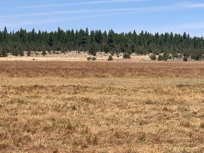 440+/-Acres 47N71 & 47N10 USFS Roads - image 31