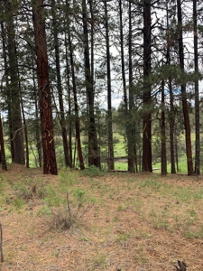 440+/-Acres 47N71 & 47N10 USFS Roads - image 8