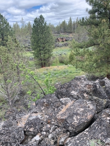 440+/-Acres 47N71 & 47N10 USFS Roads - image 11