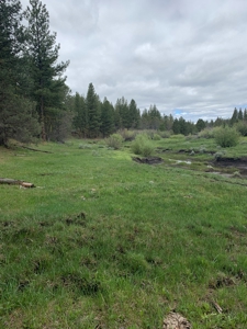 440+/-Acres 47N71 & 47N10 USFS Roads - image 3