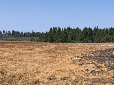 440+/-Acres 47N71 & 47N10 USFS Roads - image 23