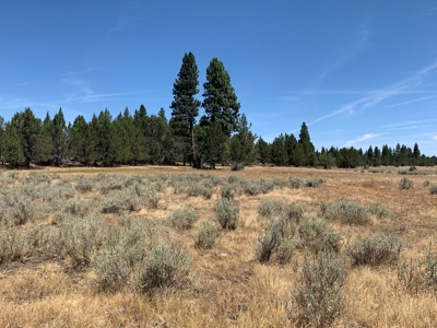 440+/-Acres 47N71 & 47N10 USFS Roads - image 21