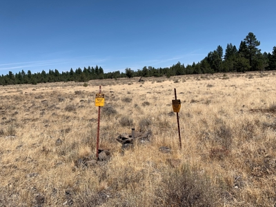 440+/-Acres 47N71 & 47N10 USFS Roads - image 28