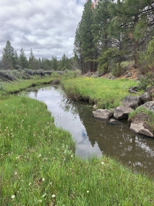 440+/-Acres 47N71 & 47N10 USFS Roads - image 1