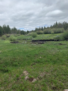440+/-Acres 47N71 & 47N10 USFS Roads - image 6