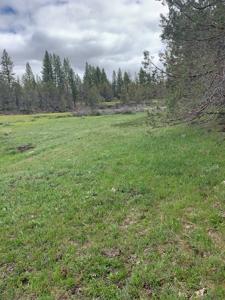 440+/-Acres 47N71 & 47N10 USFS Roads - image 4