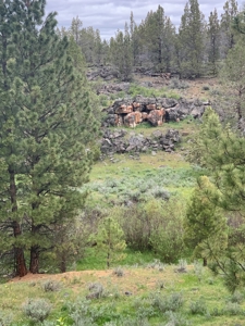 440+/-Acres 47N71 & 47N10 USFS Roads - image 12