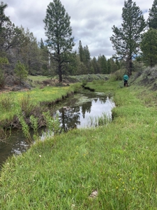 440+/-Acres 47N71 & 47N10 USFS Roads - image 15
