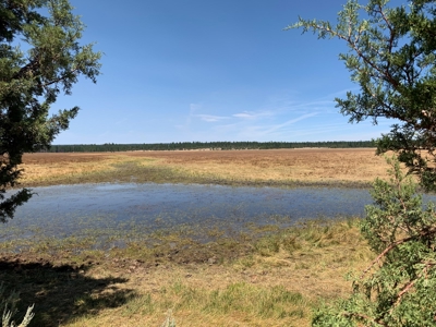 440+/-Acres 47N71 & 47N10 USFS Roads - image 35