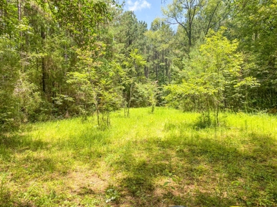 167 Acres Hunting Land for Sale in Amite County, MS - image 38