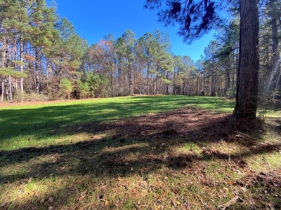 167 Acres Hunting Land for Sale in Amite County, MS - image 31