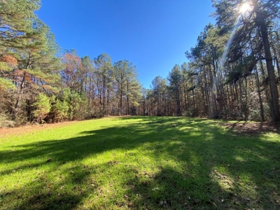 167 Acres Hunting Land for Sale in Amite County, MS - image 30