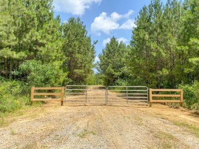 167 Acres Hunting Land for Sale in Amite County, MS - image 9