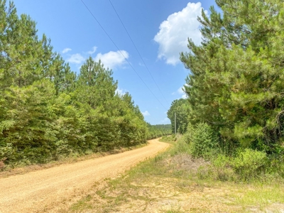 167 Acres Hunting Land for Sale in Amite County, MS - image 33