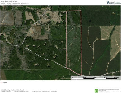 167 Acres Hunting Land for Sale in Amite County, MS - image 48