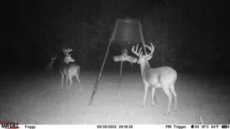 167 Acres Hunting Land for Sale in Amite County, MS - image 6