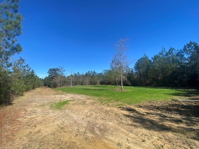 167 Acres Hunting Land for Sale in Amite County, MS - image 20