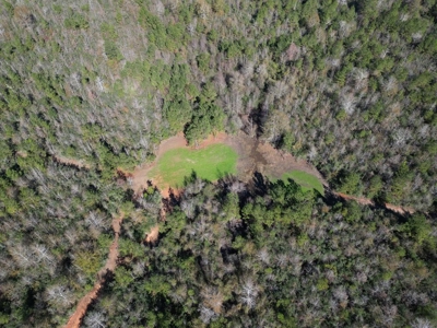 167 Acres Hunting Land for Sale in Amite County, MS - image 13