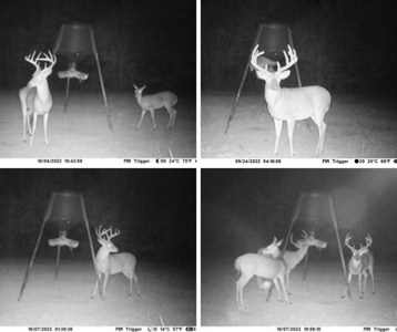 167 Acres Hunting Land for Sale in Amite County, MS - image 2